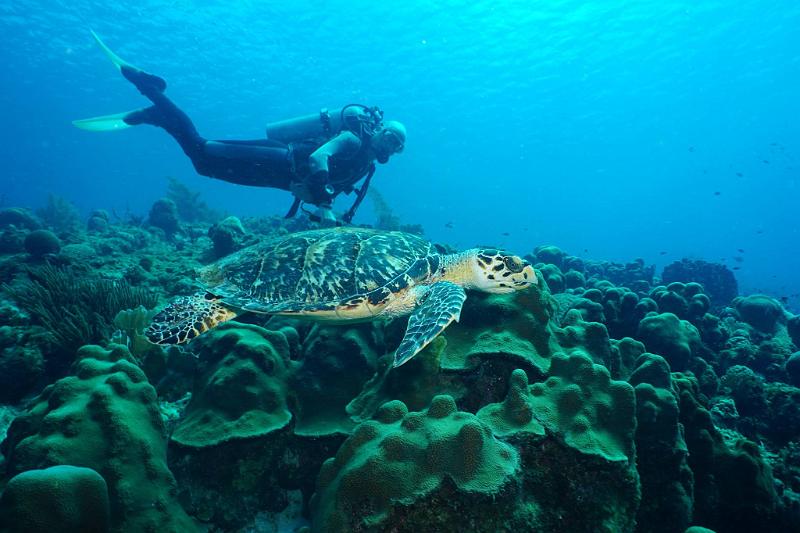 Bonaire 2018 10.jpg